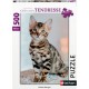 Nathan Puzzle 500 p chaton bengal