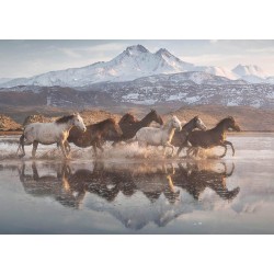 Schmidt Puzzle 1000 pièces : Chevaux en Cappadoce