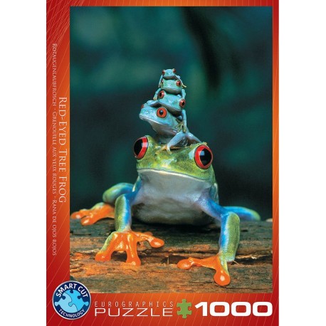 Eurographics Puzzle 1000 pièces : Grenouille aux yeux rouges