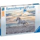 RAVENSBURGER Puzzle 500 pièces Cheval sur la plage