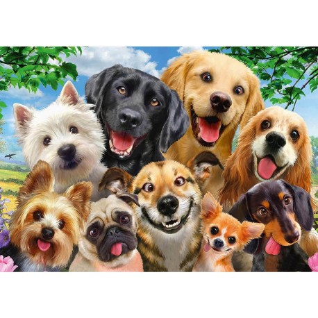 Schmidt Puzzle 500 pièces : Selfie de chiens