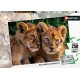 RAVENSBURGER Puzzle Nathan 250 pièces Adorables lionceaux