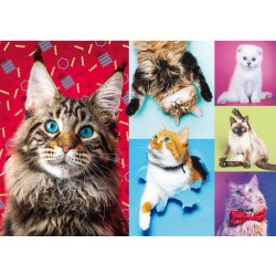 Trefl Puzzle 1000 pièces : Chats heureux