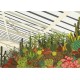 Gibsons Puzzle 500 pièces : Brutalist Conservatory