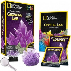 BANDAI National Geographic Faire pousser son cristal Violet