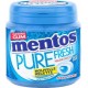 Mentos Bottle pure fresh mint 50 dragées sans sucre 100g